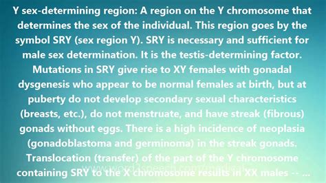 Y Sex Determining Region Medical Meaning And Pronunciation Youtube