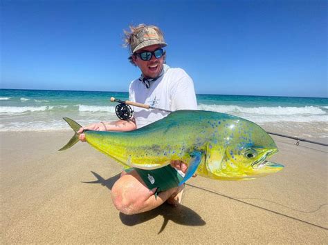 Angler Story Of The Week Fly Fishing For Baja Mahi Mahi Flylords Mag