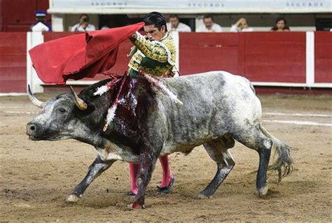 Toreros Mexicanos Son Condecorados Con Trofeo Luchador Olmeca 2023