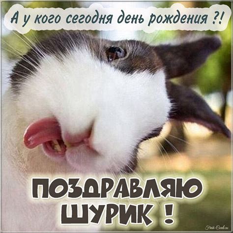Шурик с днем рождения - лучшие фотографии и картинки! - pictx.ru