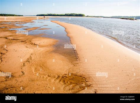 Usa Arkansas Mississippi River Basin Arkansas Beach On West Side Of