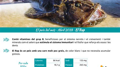 El Rap El Peix Del Mes Gremi De Peixaters De Catalunya