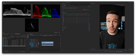 Premiere Zv E10 Leeming Luts Look Completely Wrong Rcolorgrading