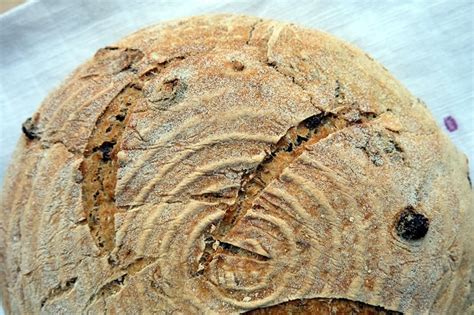 Fennel Seed Bread Recipe - The Bread She Bakes