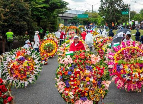 Se acerca el Desfile de Silleteros guía para identificar los tipos de