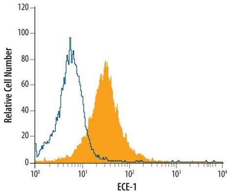 Human ECE 1 Antibody R D Systems 25μg Unlabeled Fisher Scientific