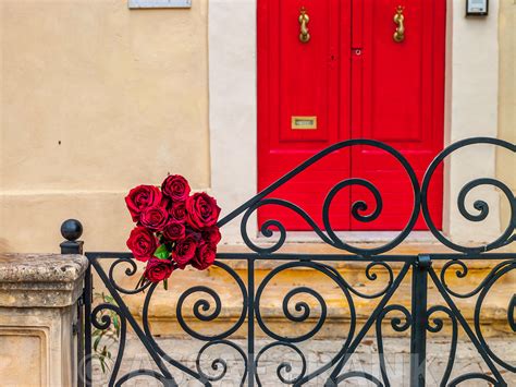 Assaf Frank Photography Licensing Bunch Of Roses On Iron Gate Of An