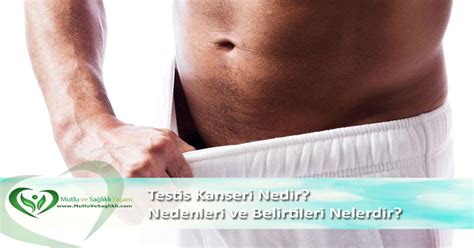 Testis Kanseri Nedir Testis Kanseri Nedenleri Ve Belirtileri Nelerdir