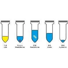 REAL Saliva DNA Kit - Real Laboratory