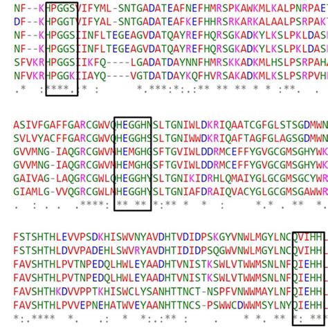 Multiple Sequence Alignment Of Deduced Amino Acid Sequence Of