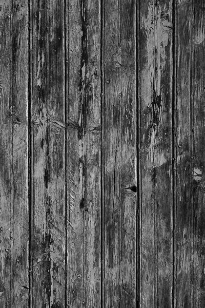 White wood door — Stock Photo © kues #68398681