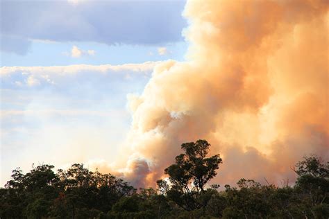 Bushfire Smoke Urgent Need For A National Health Protection Strategy