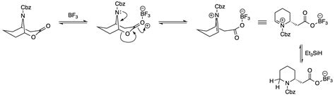 Organic Chemistry Reduction Of Hemiaminal By Triethylsilane Boron