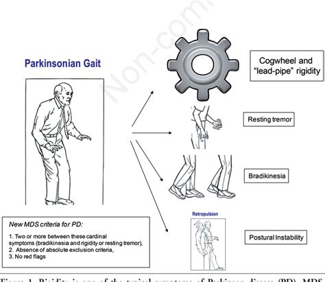 [PDF] The key points for treatment of Parkinsonism in older persons ...