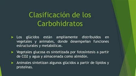 Clasificaci N De Los Carbohidratos Trini Almada Udocz