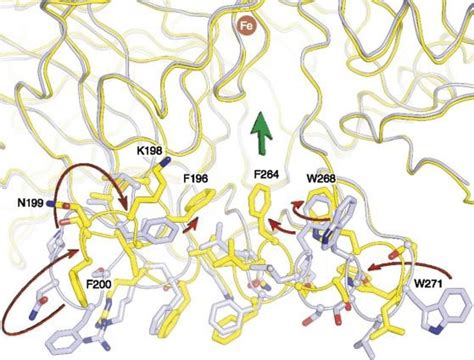 Structural Research Of Isomerases Creative Biostructure