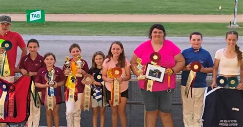 Queenslanders Shine At Nsw Mini Trotting Championships Racing Queensland