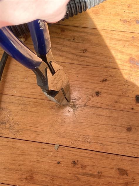 What Is The Easiest Way To Remove Carpet Tack Strips Resnooze