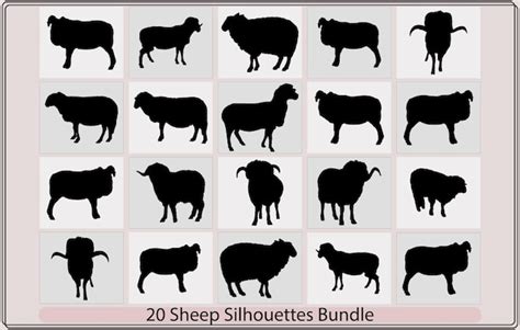 Schaap Silhouetschapen Pictogramschapen Silhouet Met Staande Poselam Of