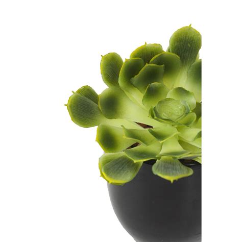 Crassula Aeonium Arboreum Artificiel 18 Cm Succulentes Artificielles Artiplantes