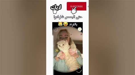 لا لا هيك اكتير 😂😂i ♡ You Youtube