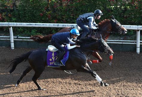 【神戸新聞杯】シャフリヤール 進化の坂路4f自己新51秒2、ダービー馬が夏越えパワーup スポニチ競馬web