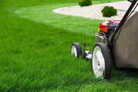 keiths lawn care ocala fl lawn care  landscaping company