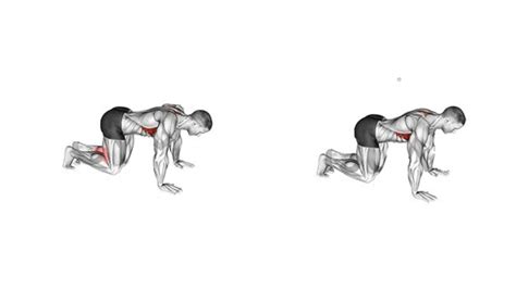 Scapula Push Ups Muscles Worked How To Do Benefits