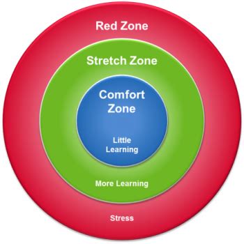 Comfort, Stretch, Panic. Which Zone Are You In? - Amani Institute