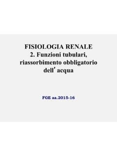 FISIOLOGIA RENALE 2 Funzioni Tubulari Riassorbimento Fisiologia