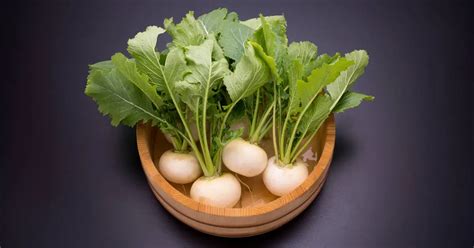 Best Turnip Recipes 10 Delicious Dishes For Every Occasion