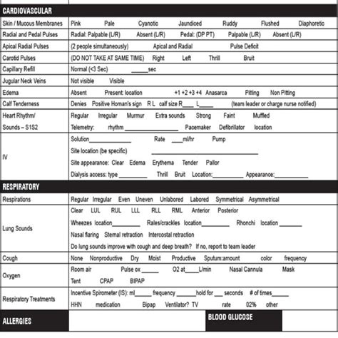 Best Head To Toe Assessment Template Nursing School New Nurse Printable 2 Pages Pdf Digital