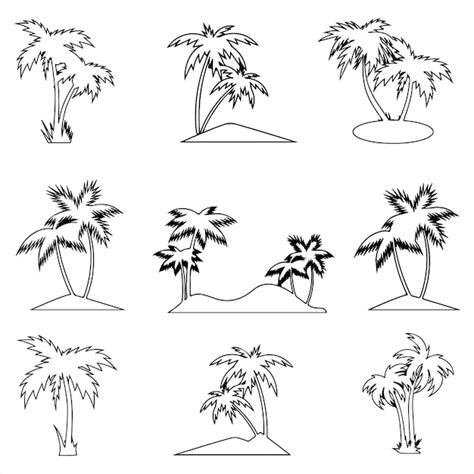 Premium Vector The Palm Tree Outline Is Set On A White Background