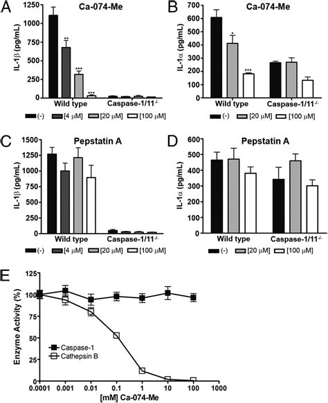 Cytosolic Flagellin Induced Lysosomal Pathway Regulates Inflammasome