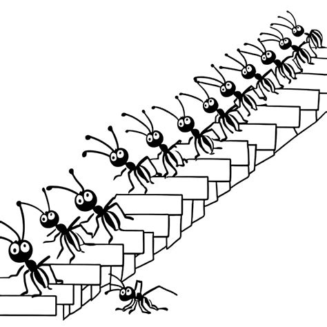 Ant Trail Coloring Page Lulu Pages