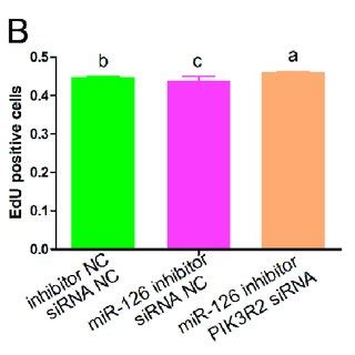 Mir Promotes The Cell Cycle Progression Of Immature Porcine Sertoli