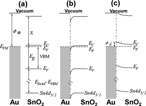 Schematic Energy Level Diagrams For An A Ideal Au SnO 2 Interface