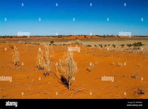 Arid Australian Landscape With Red Sand And Low Dunes Almost Devoid Of