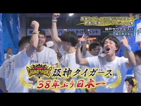 歓喜の阪神ファンダイジェスト集 阪神タイガース38年ぶりの日本一！ サンテレビニュース｜youtubeランキング