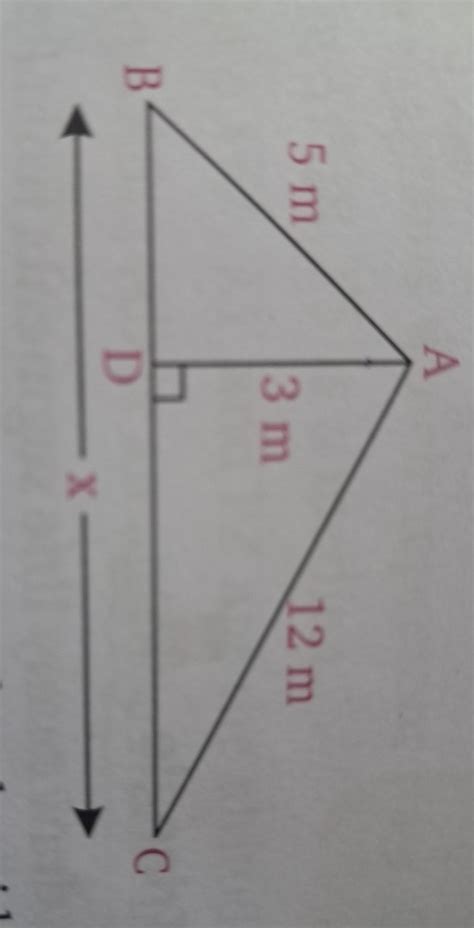 Find The Unknown Length X In The Following Figures Answer Is Tex