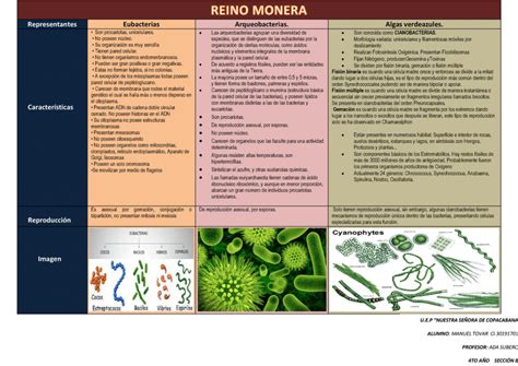 Cu Les Son Las Principales Diferencias Entre Arqueobacterias Y