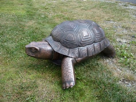 Copper Tortoise Sculpture By Jeremy Maronpot Lbs Tutorial