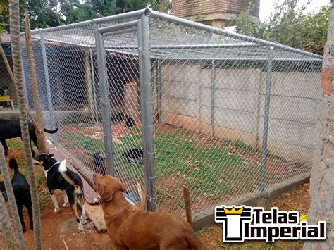 Telas E Alambrados Para Canil E Gatil Telas E Alambrados Em Atibaia