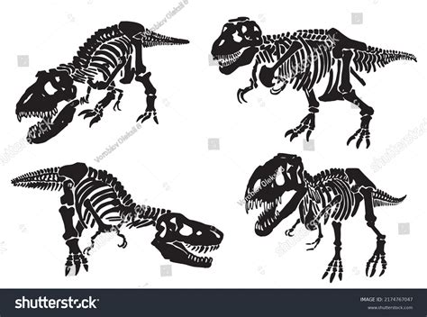 Dinosaur Skeleton Drawing Royalty-Free Images, Stock Photos & Pictures ...