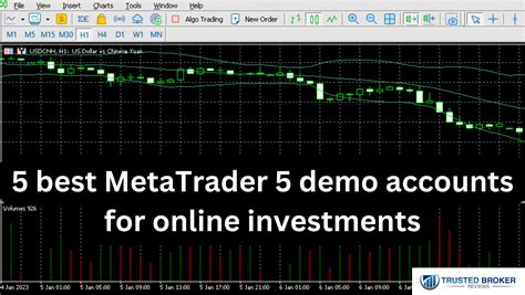 5 Best MetaTrader 5 Demo Accounts Comparison 2023