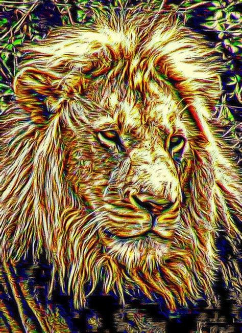 King Of The Jungle Digital Art By Carrie OBrien Sibley Fine Art America