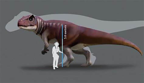 Reusachtige Vleesetende Dinos Ouder Dan De T Rex Kwamen Ook In