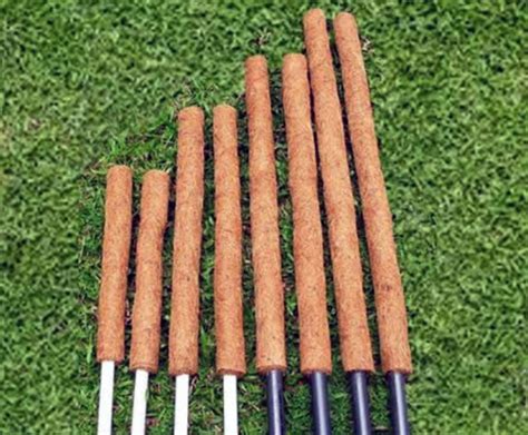 Moss Stick (3-Size) - Onlian at Nursery Nisarga