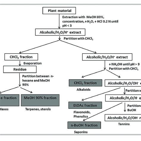 | Fractionation scheme. | Download Scientific Diagram