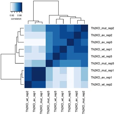 Heat Map Rna Seq Data